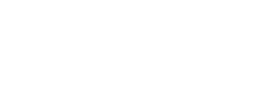 logo for CSO